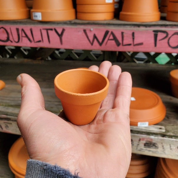 Terra Cotta Pottery, Italian