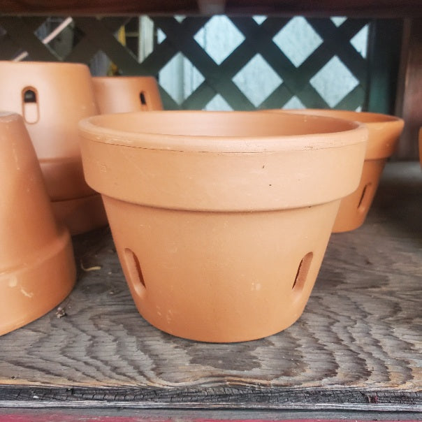 Terra Cotta Pottery, Italian | Orchid Pots (Two Sizes) – Little