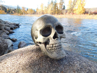 Skull Statue