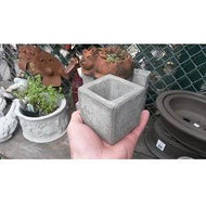 Mini Cube Planters-Concrete Planters-Little Baja