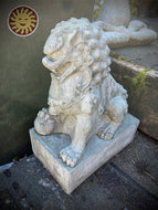 Statuary, Asian | Foo Dog Pair, Small, Stained