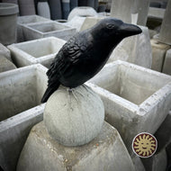 Statuary | Crow on Sphere, Painted