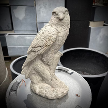 Concrete Hawk Statue