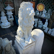Medium Concrete Lion Statue