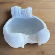 Top view of Dove Planter