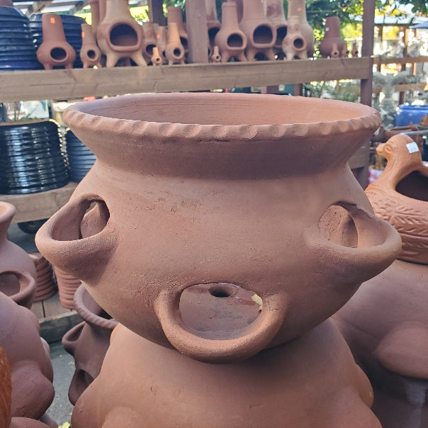 strawberry plant pots buy Terra Cotta Planters