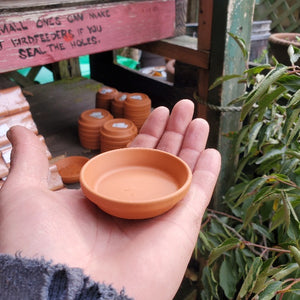 clay plant pots with saucers Terra Cotta Saucers, Italian (2”