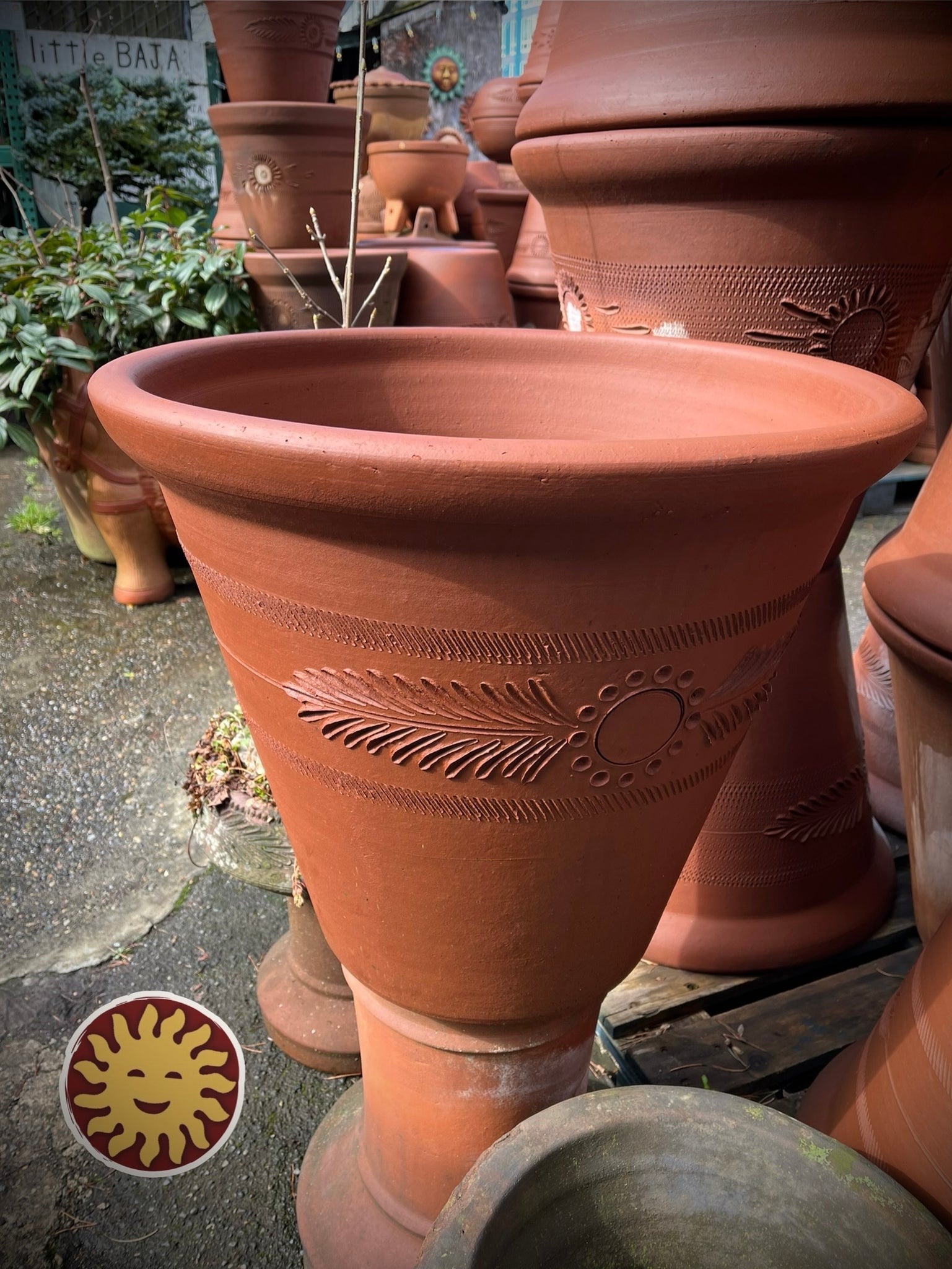 where to buy large plant pots Terra Cotta Planter
