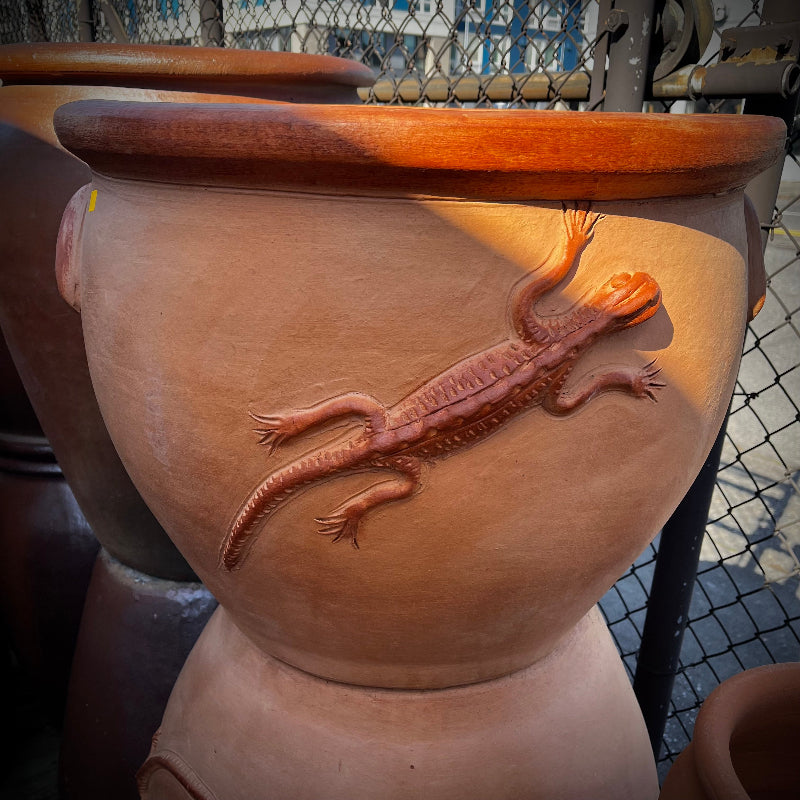 lizard plant pot Terra Cotta Jar