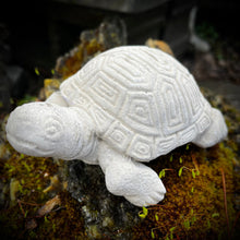 Mini Turtle Statue