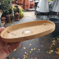 Oval Saucer