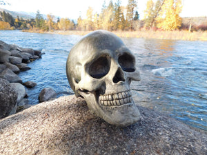 Skull Statue