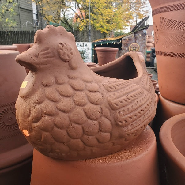 hen and chicks planter pot Terra Cotta Planter