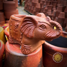 Mini Terra Cotta Elephant Animal Planter