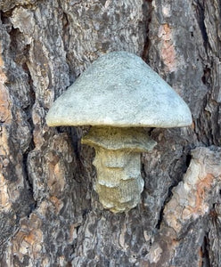 Honey Mushroom Statue, Hanging