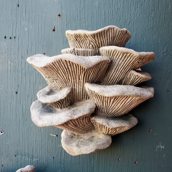 Oyster Mushroom Wall Mount Statue