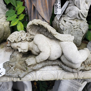 Sleeping Angel with Starfish Statue