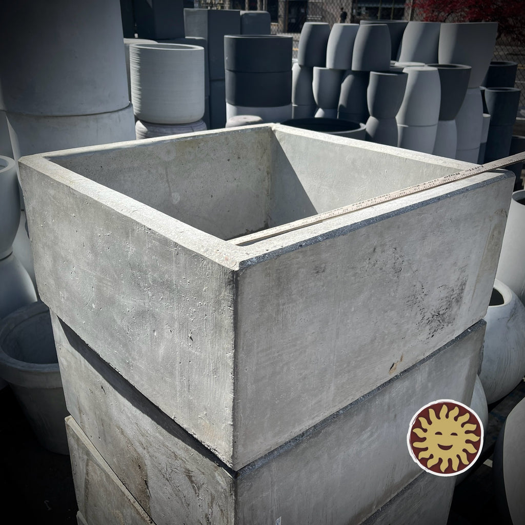 Concrete Planter | Square, Short (19