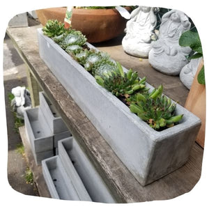 Long Skinny Rectangle Planter, Potted w Succulents