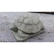 Small Turtle Statue, Buy Online