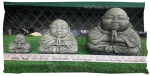 Buddha Statues