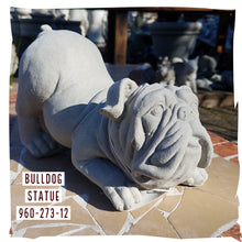 Statuary, Animal | Bulldog Statue, Natural Concrete, Sm