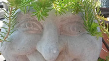 Close up on eyes of the concrete garden face planter