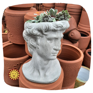 Planter, Concrete | Greek Statue David Head Planter