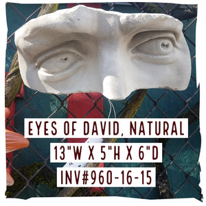 Wall Decoration | Eyes of David Wall Shelf (Painted or Natural)