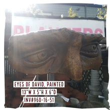 Painted Eyes of David Wall Art