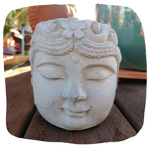 Olmec Head Planter