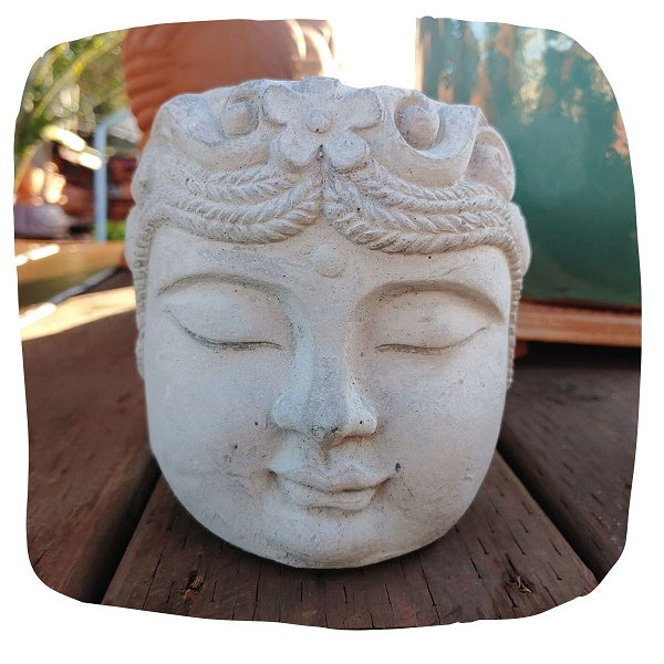 Olmec Head Planter