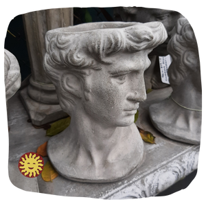 David Bust Planter