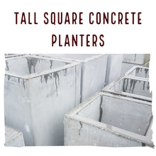 Tall Square Concrete Planters