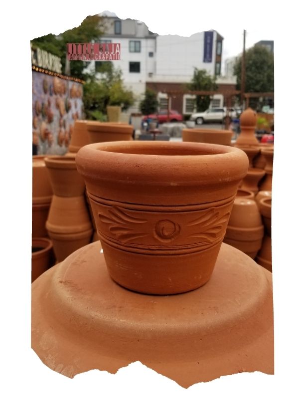 Terra Cotta Planter