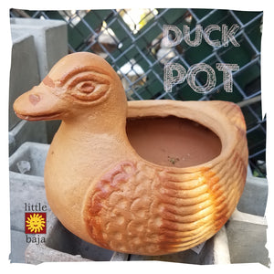 Terra Cotta Duck Planter